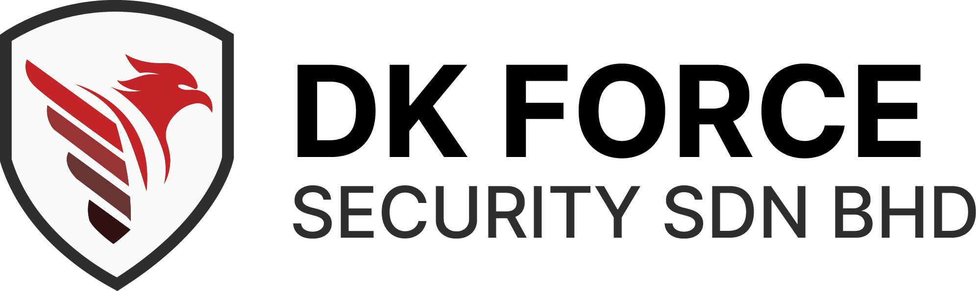 DK Force Security
