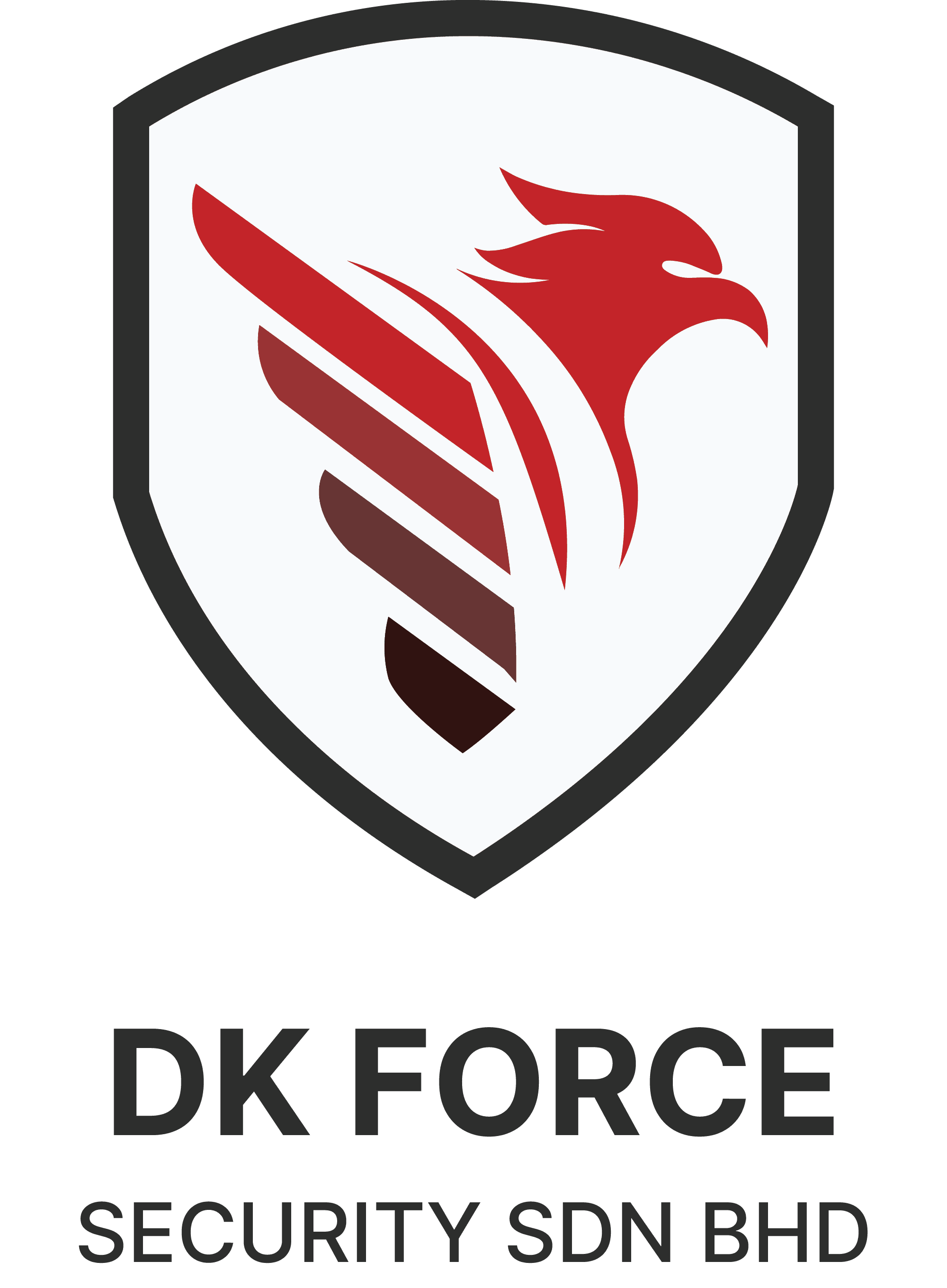 DK Force Security
